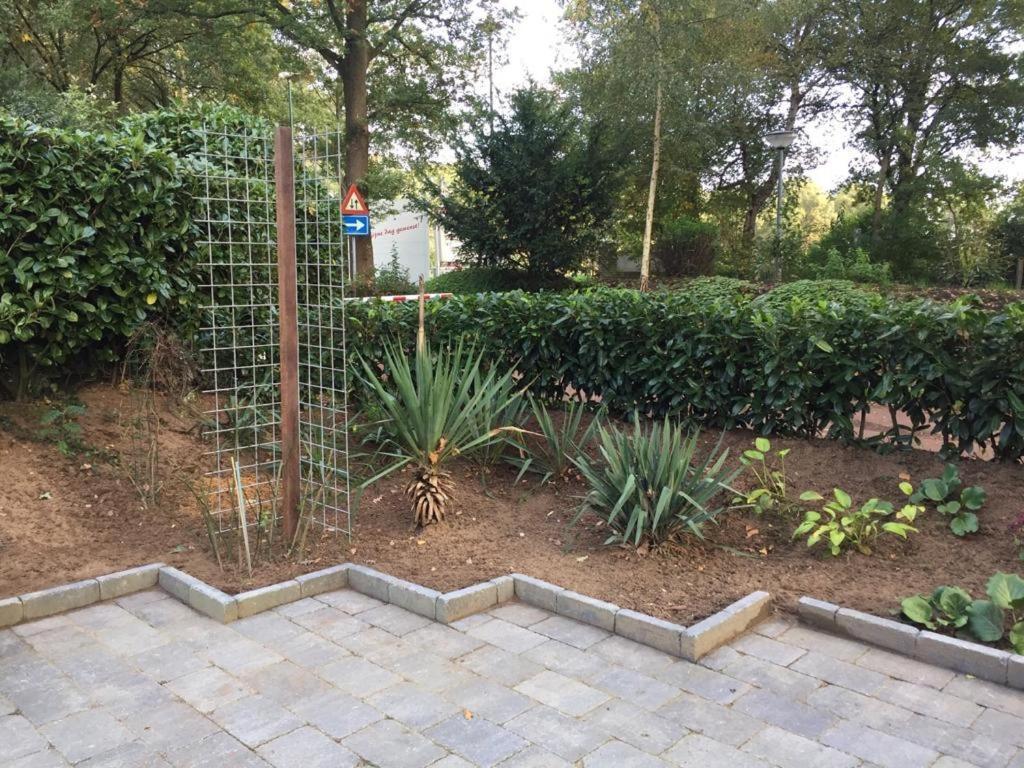 Rumah Kita, Bungalow Met 2 Slaapkamers In Het Mooie Drenthe Erm Eksteriør bilde